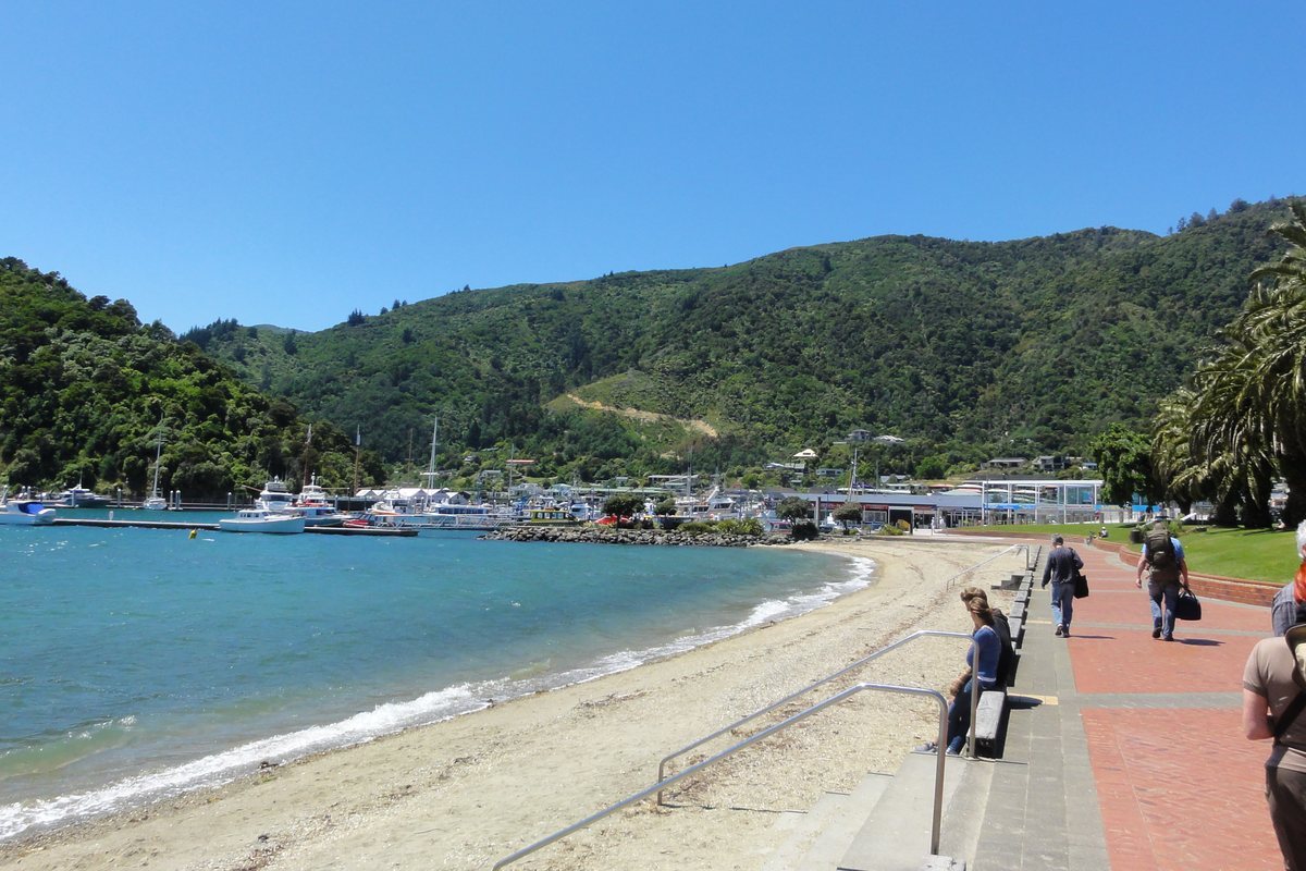 Picton's foreshore reserve with the marina and moored yachts, London Quay behind