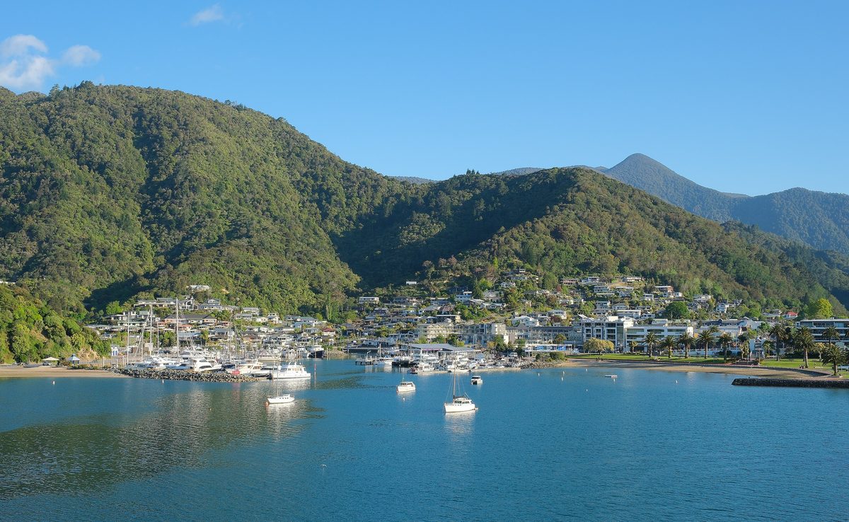 Picton harbour and marina in late afternoon sun, the town wrapped around the head of the bay with bush hills behind