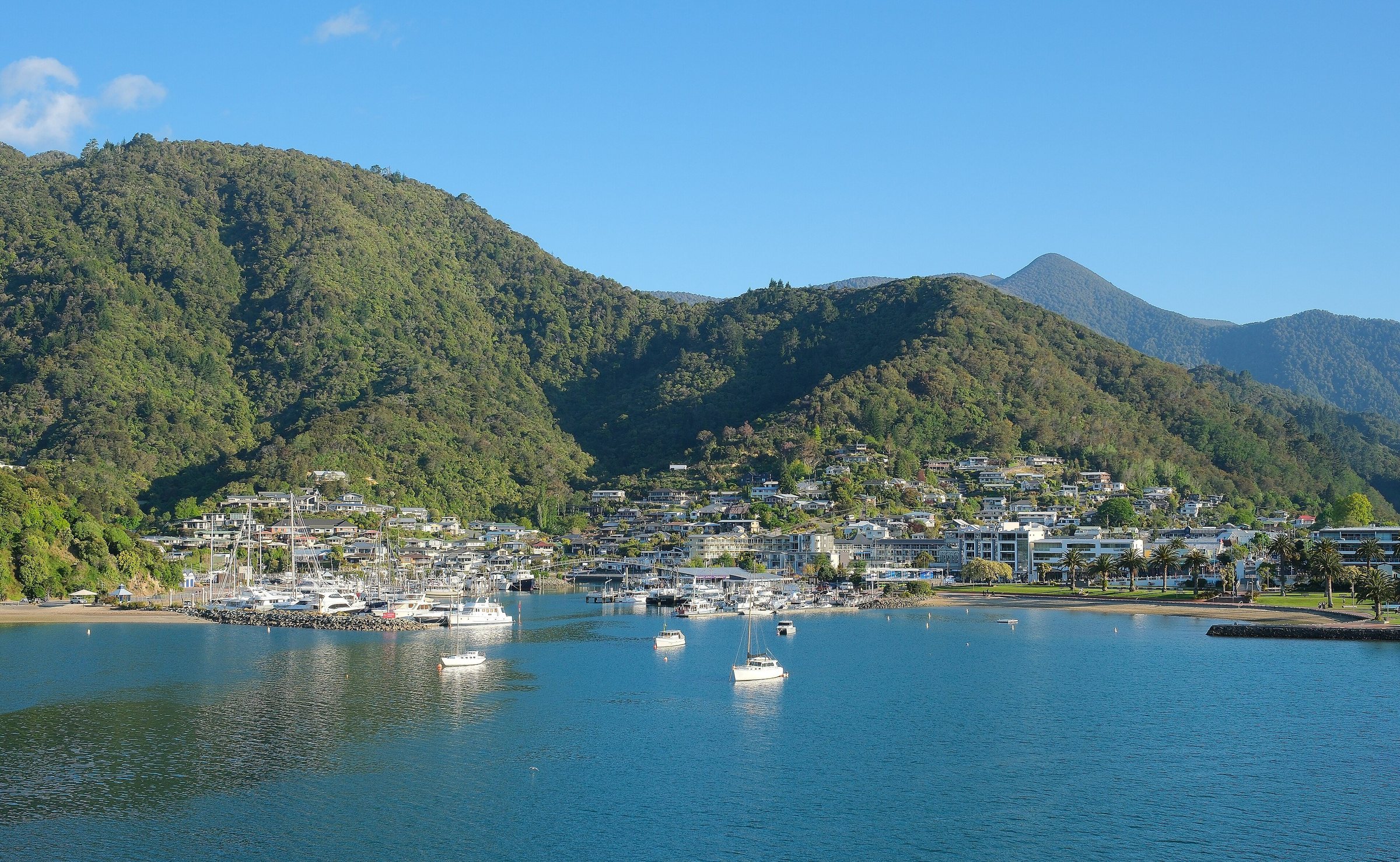 Picton harbour and marina in late afternoon sun, the town wrapped around the head of the bay with bush hills behind