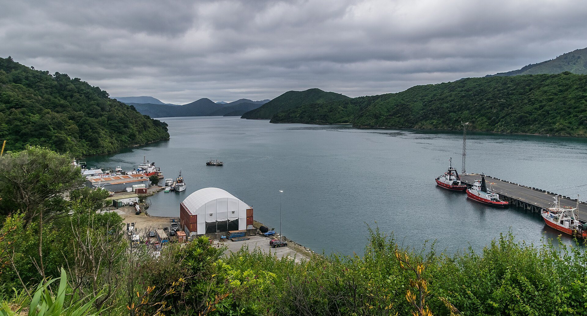 Picton's working wharves at the head of the sound, with vessels alongside and forested hills on both shores